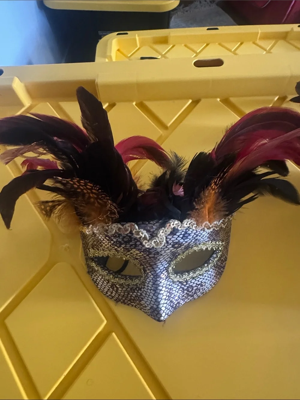 Feathered Masquerade Mask - Silver and Black